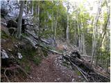 Stara Fužina - Planina pod Mišelj vrhom